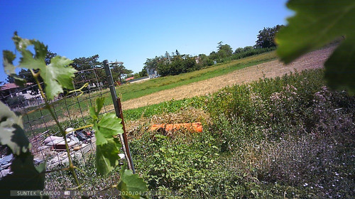 PTDC1481.jpg