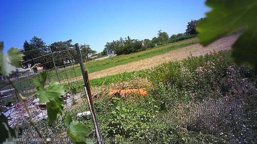 PTDC1482.jpg