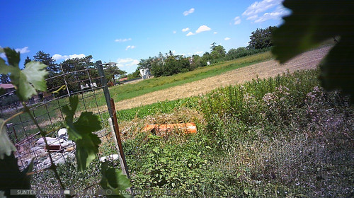 PTDC1486.jpg
