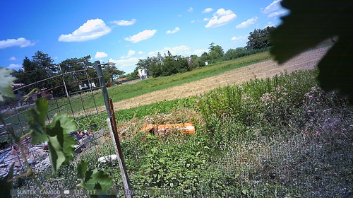PTDC1487.jpg