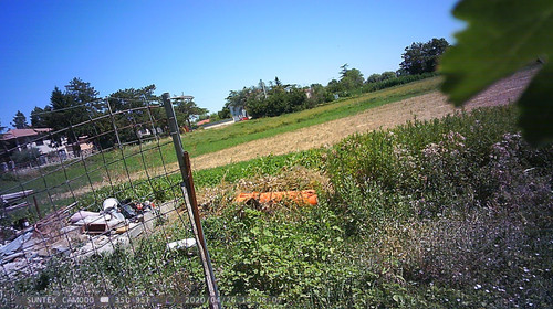 PTDC1480.jpg