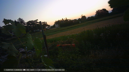PTDC1521.jpg