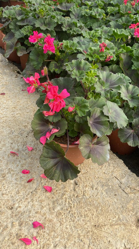 WhatsApp Image 2023 03 02 at 11.38.44.jpg