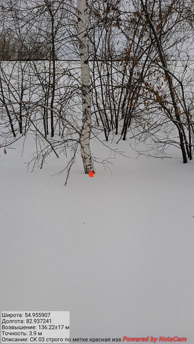 IMG 20230301 175109.jpg
