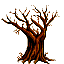 arbol.png