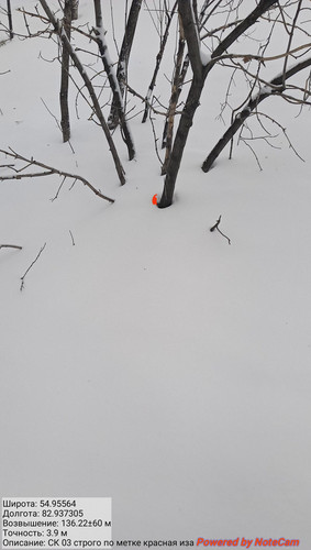 IMG 20230301 181105.jpg