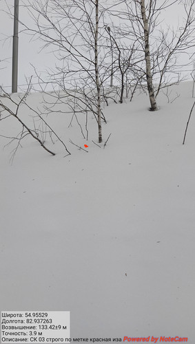 IMG 20230301 181221.jpg