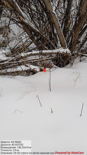 IMG 20230301 175336.jpg