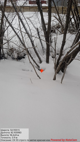 IMG 20230301 174600.jpg