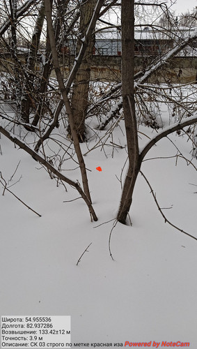 IMG 20230301 174920.jpg