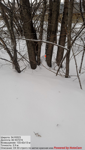 IMG 20230301 174642.jpg