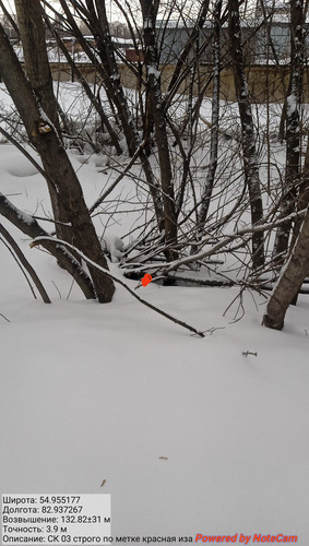 IMG 20230301 174620.jpg