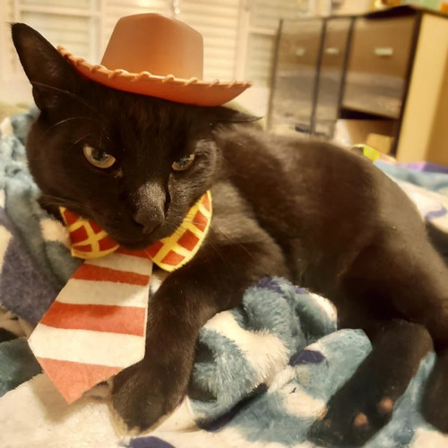 Salem.jpg