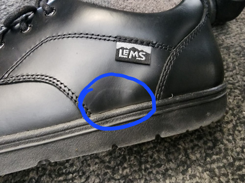 1677636846755.jpg