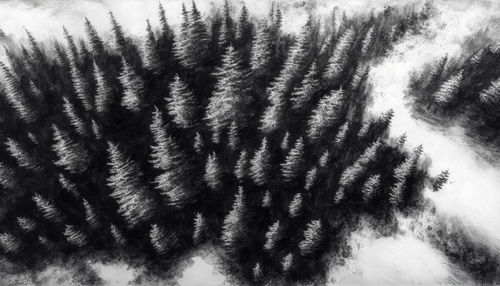 JDC aerial view forest hyperreal charcoal sketch d1ae1dca ac39 4554 905f 7e1177df2854.png