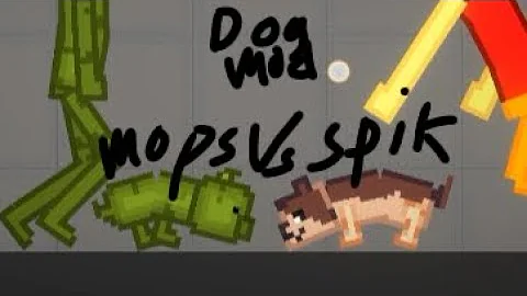 dog.webp