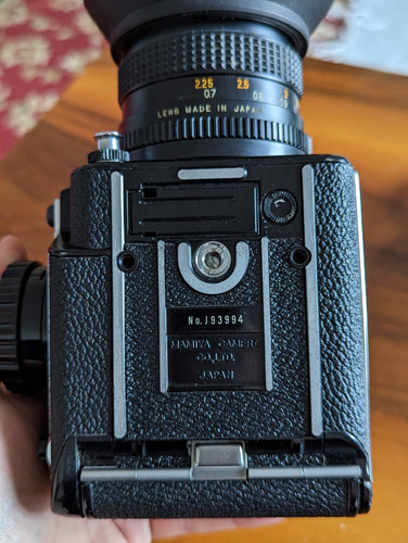 PXL 20230304 081652310.PORTRAIT.jpg