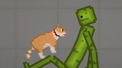 Cat.webp