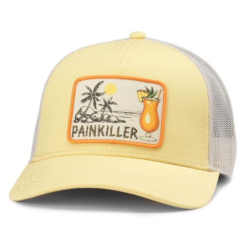 23009A PAINKIL IVLL.jpg