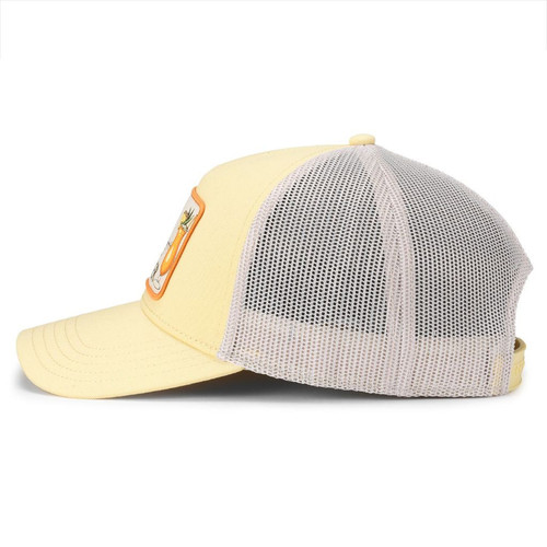 23009A PAINKIL IVLL 2.jpg