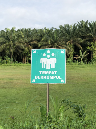 79BA9179 AFD3 41FB 94EC 7E92123D03CD.jpg