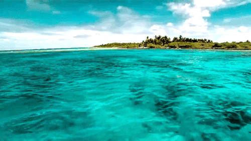 water Image.gif