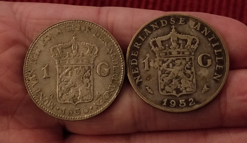 1677930208682.jpg