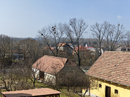 IMG20230304055316.jpg
