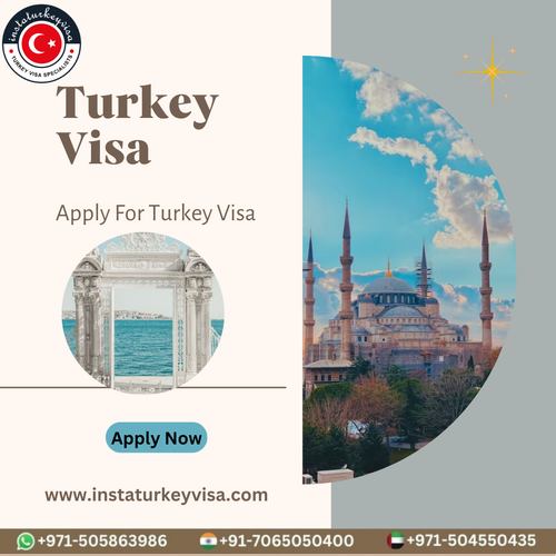 apply turkey visa online instaturkeyvisa.png