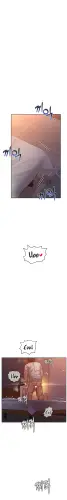 15.webp