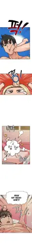 13.webp