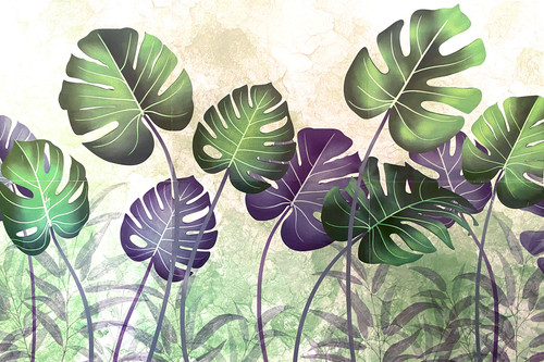 Botanicals.jpg