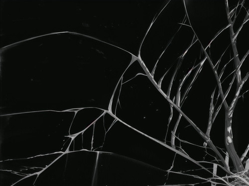 e878f0a587ee.jpg
