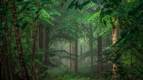 Wallpaper 8K 0 7680x4320.jpg