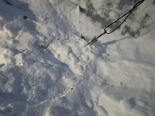 8F42460A FA52 40B1 A9DD 84A58D59FF81.jpg