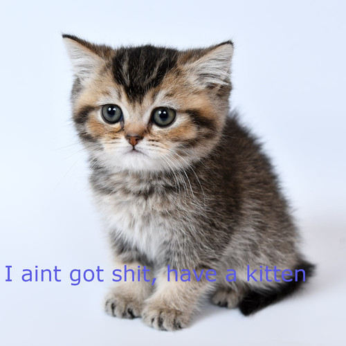 photo 1595433707802 6b2626ef1c91.jpg