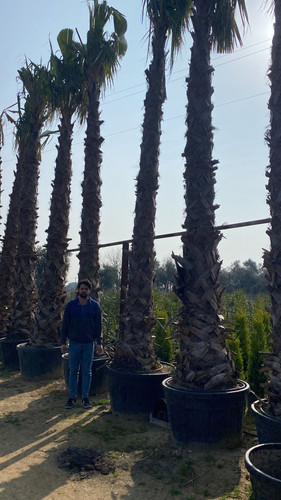 WhatsApp Image 2023 03 03 at 10.57.04.jpg