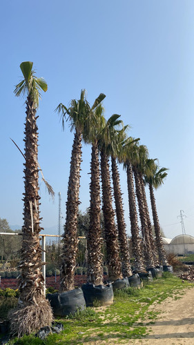 WhatsApp Image 2023 03 03 at 10.56.44.jpg