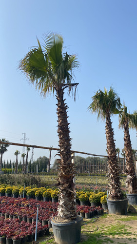 WhatsApp Image 2023 03 03 at 10.54.45 (2).jpg