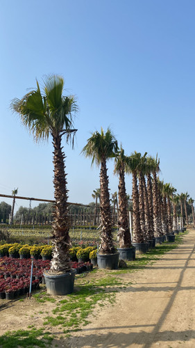 WhatsApp Image 2023 03 03 at 10.54.45 (1).jpg