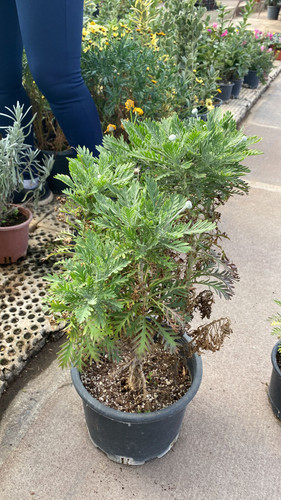 WhatsApp Image 2023 03 03 at 13.43.24 (1).jpg