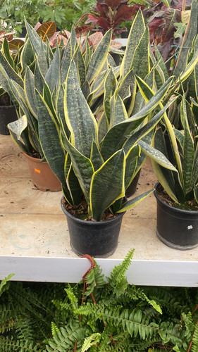 WhatsApp Image 2023 03 03 at 13.41.31.jpg