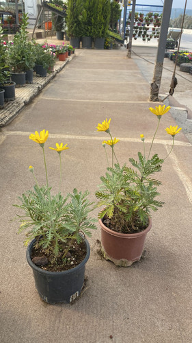 WhatsApp Image 2023 03 03 at 13.43.24 (2).jpg