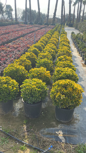 WhatsApp Image 2023 03 03 at 11.00.45.jpg