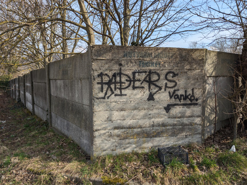 PXL 20230303 125300948.jpg