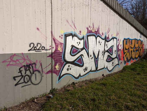 PXL 20230303 124453513.jpg