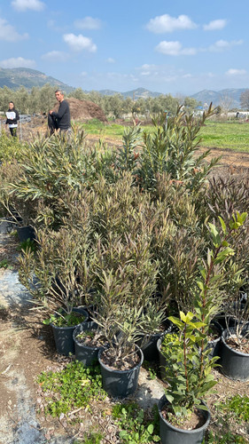 WhatsApp Image 2023 03 03 at 12.49.13.jpg