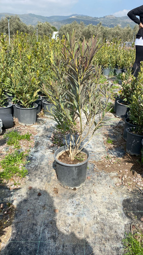 WhatsApp Image 2023 03 03 at 12.48.59.jpg