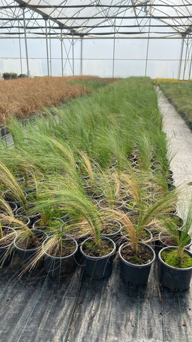 WhatsApp Image 2023 03 03 at 14.11.19.jpg