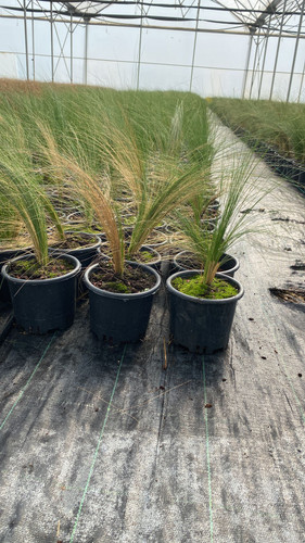 WhatsApp Image 2023 03 03 at 14.11.18.jpg